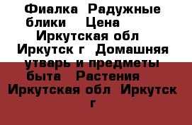 Фиалка “Радужные блики“ › Цена ­ 160 - Иркутская обл., Иркутск г. Домашняя утварь и предметы быта » Растения   . Иркутская обл.,Иркутск г.